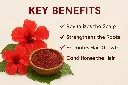 ChatGPT Image Apr 18, 2025 at 08_26_16 AM.webp