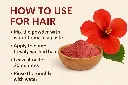 ChatGPT Image Apr 18, 2025 at 08_30_36 AM.webp